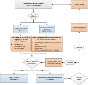 Algorithm for the management of contacts of probable or confirmed COVID-19 cases