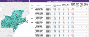 COVID-19 Capacity Predictor