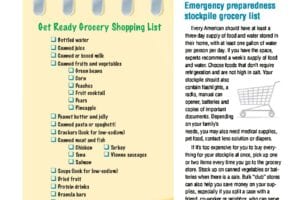 Pandemic Emergency Preparedness Shopping List